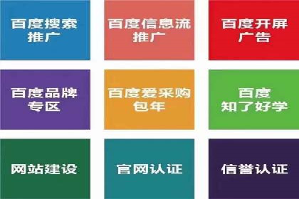 某行业头部企业信息流广告推广全解析